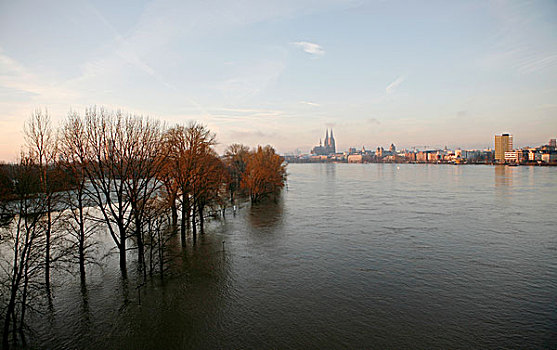 洪水,一月,莱茵河,北莱茵威斯特伐利亚,德国,欧洲