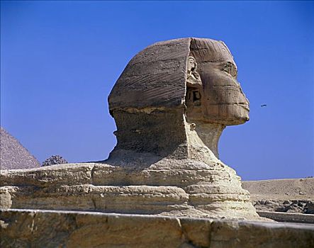 狮身人面像,吉萨金字塔,埃及