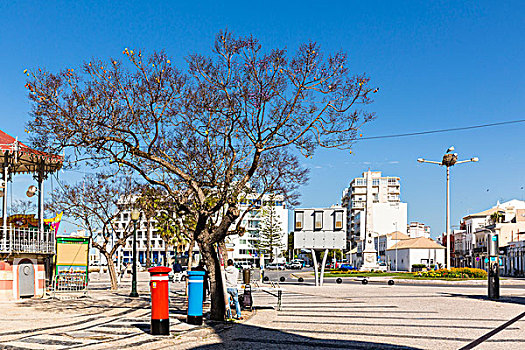 树,白鹳,灯光,柱子,法若,阿尔加维,葡萄牙
