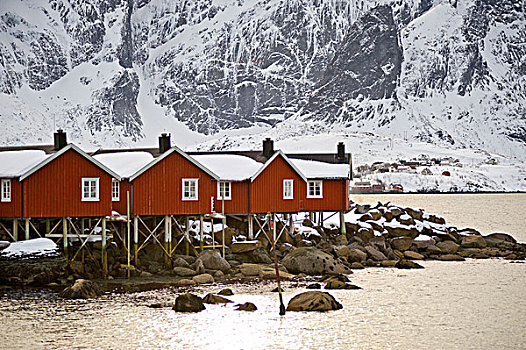 传统,木屋,岛屿,罗浮敦群岛,北方,挪威,欧洲