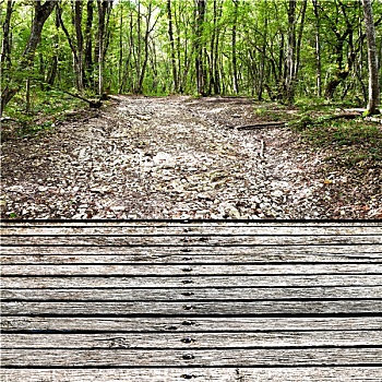 木质,步行桥,上方,石头,干燥,河床