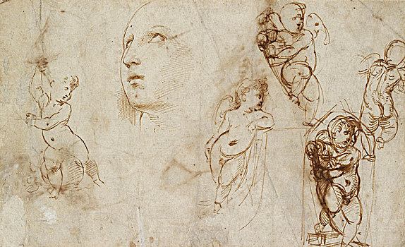 多样,学习,圣凯瑟琳,早,16世纪,艺术家