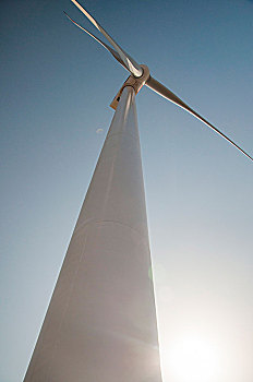 用于风力发电的风车