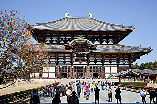 大佛,东大寺,奈良,日本