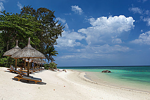 毛里求斯,西北地区,海岸,沙滩椅,伞,白色背景,沙滩