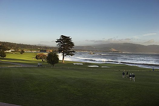 高尔夫球场,圆石滩,北加利福尼亚,美国