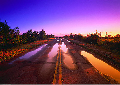 雨,水坑,途中,日落,公路,靠近,爱德华王子岛,加拿大