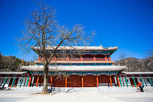 北京潭柘寺