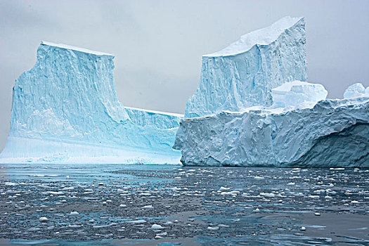 南极,湾,冰,冰山