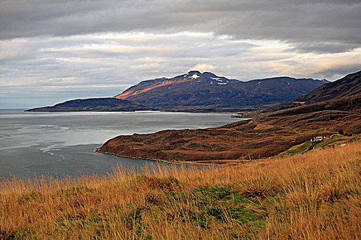 风景,峡湾,靠近,阿库雷里,冰岛