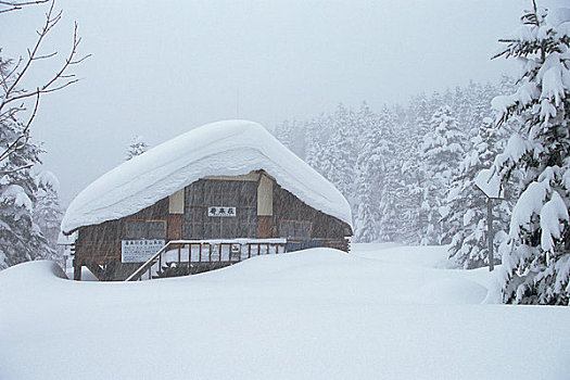 房子,雪中