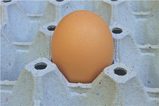 蛋,蛋架
