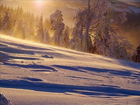 冬天,粉状雪,山脉,防护,风景,区域,北方,摩拉维亚,捷克共和国,中欧