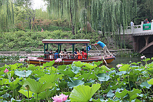 2015年8月1日北京海淀区紫竹院公园