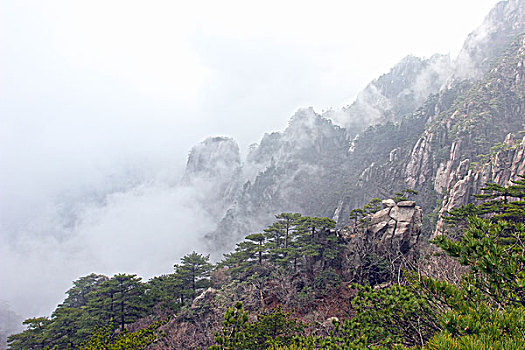 黄山,奇石,云海,壮观,名胜,风景,0235