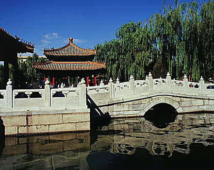 1993年1月北京西城区北海公园豪隧涧原片120翻转