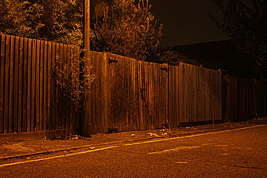 木质,栅栏,树,后面,街道,夜晚,伦敦,英国