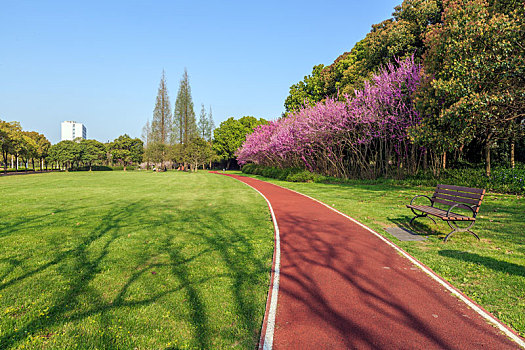 上海交通大学闵行校区草坪间的红色塑胶步道