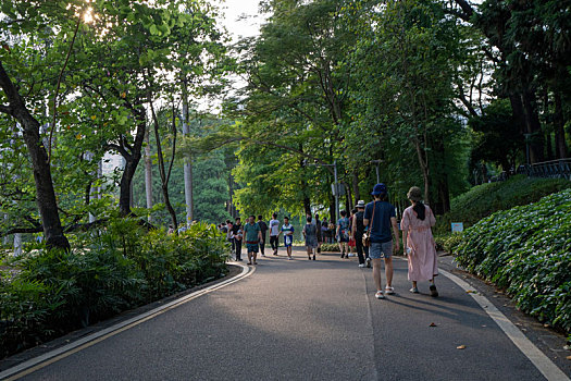 夏天广州天河公园绿树成荫市民出游