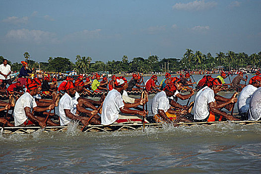 赛船,传统,运动,孟加拉,河,库尔纳市,十月,2007年