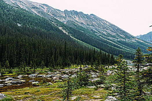 岩石,风景,树林,下方,山脉,冰碛湖,班芙国家公园,艾伯塔省,加拿大