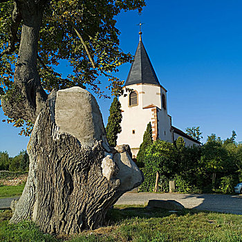 法国,阿尔萨斯,酸橙树,教堂,11世纪