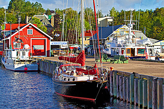 帆船,游艇,布雷顿角,新斯科舍省,加拿大