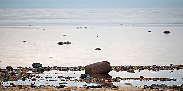 石头,岸边,海景,哈得逊湾,丘吉尔市,曼尼托巴,加拿大