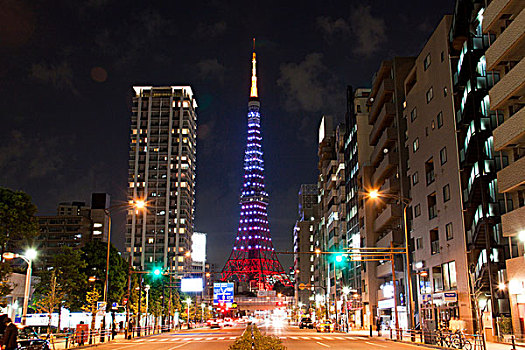 东京塔,城市,夜景,东京,日本,亚洲