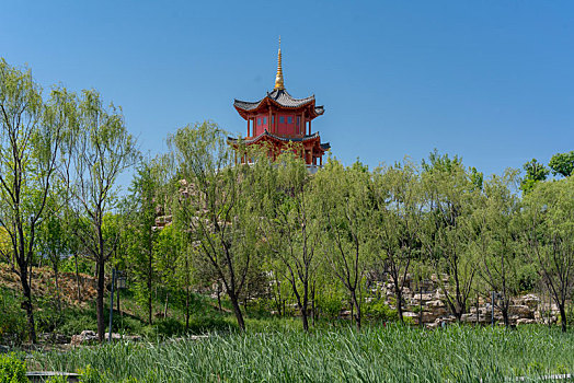 北京齐物潭公园