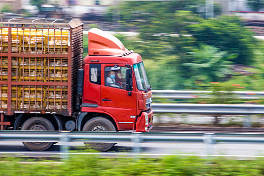 綠色通道運輸車輛