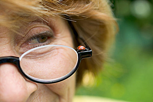 瓢虫,眼镜,布列塔尼半岛,法国,肖像权