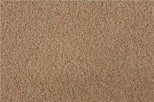 壳,沙子
