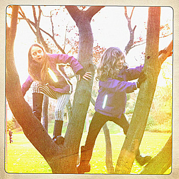 两个女孩,攀登,树