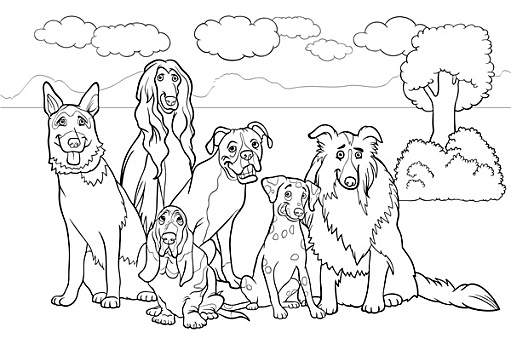 纯种动物,狗,卡通,上色画册