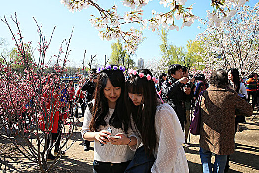 2016年3月27日北京海淀区玉渊潭公园樱花节百姓市井