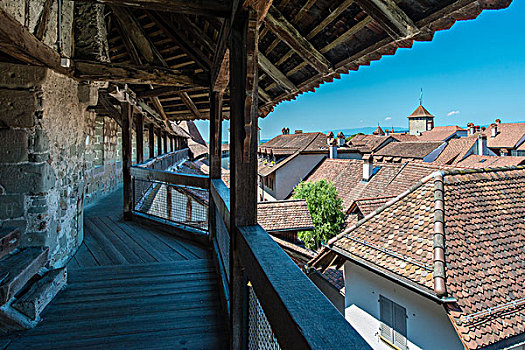 帘,墙壁,壁,远眺,屋顶,历史,中心,弗里堡,瑞士,欧洲