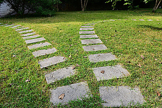 草坪道路