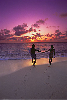 剪影,伴侣,握手,海滩,日落