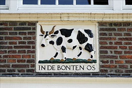 北荷兰,荷兰,标识,房子