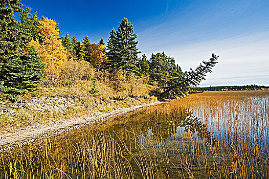 湖,国家公园,萨斯喀彻温,加拿大