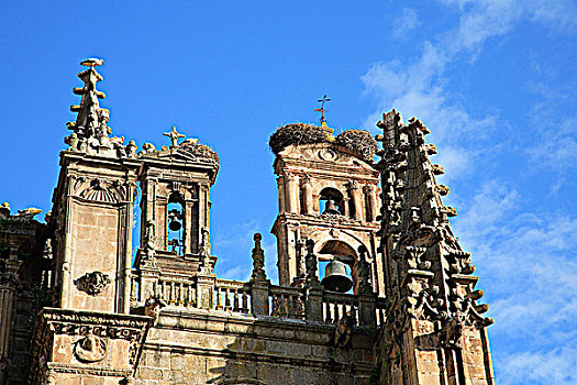 西班牙,埃斯特雷马杜拉,普拉森西亚,大教堂