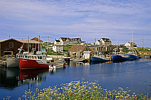 沿岸,渔村,佩姬湾,新斯科舍省,加拿大