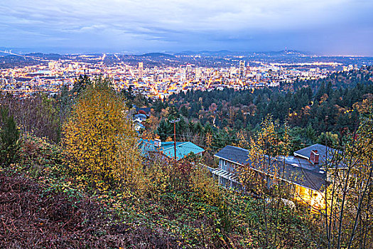 城市,天际线,波特兰,风景,树林