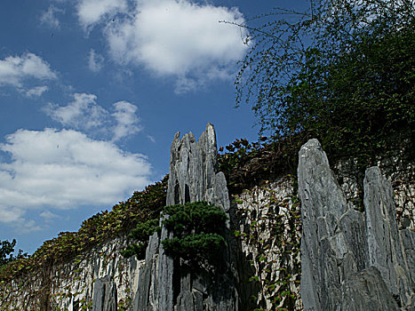 江苏苏州市留园园林