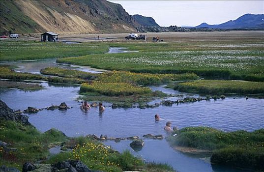 浴,热,河,自然,水池,中间,草地,兰德玛纳,高地,冰岛,欧洲