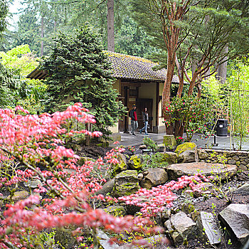 日本花园之日本文化村