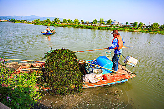 保洁,清洁工,河道