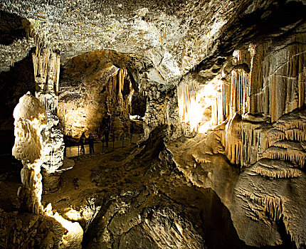 洞穴,区域,斯洛文尼亚,欧洲