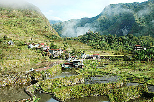 巴塔德,稻米梯田,伊富高省,北方,吕宋岛,菲律宾,2006年